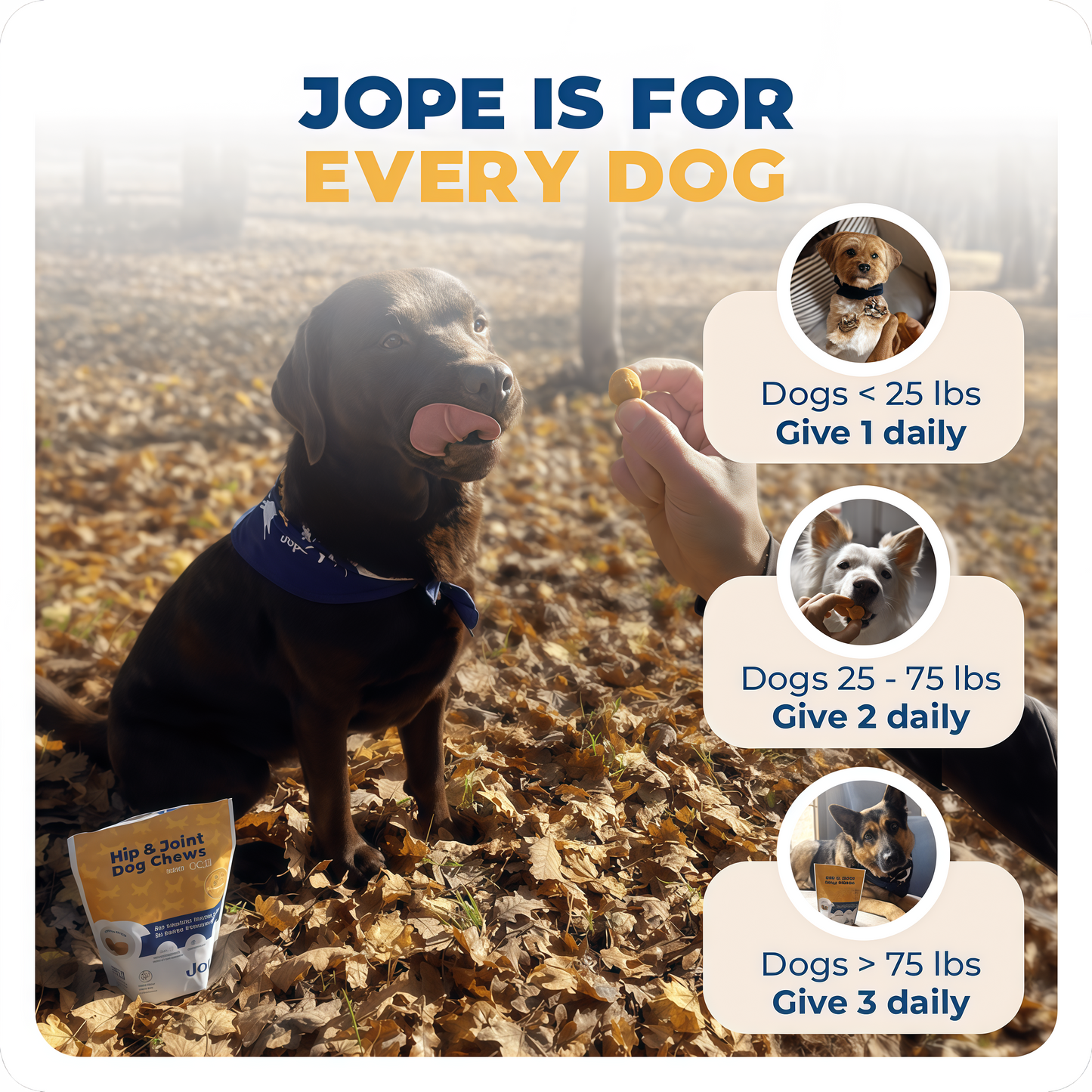 Jope Hip & Joint Dog Chews-60 Count