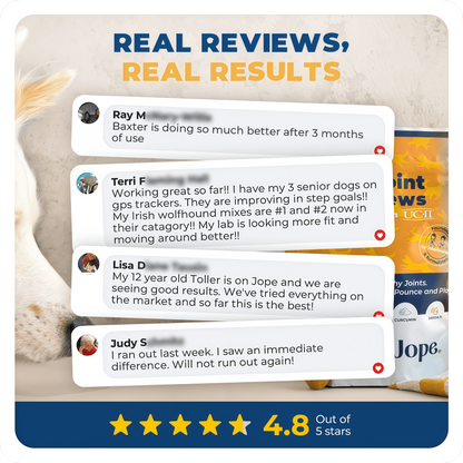 Jope Hip & Joint Dog Chews-60 Count